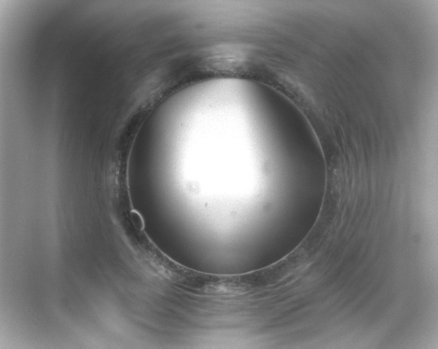 X0000068850739200605051212