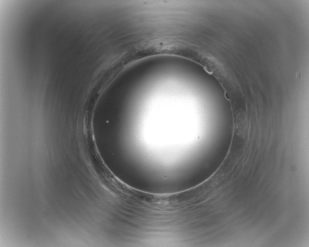 X0000068850740200605051212