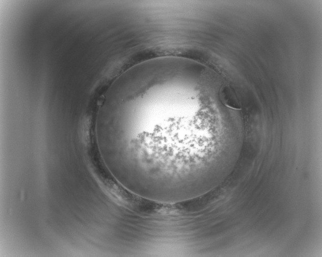 X0000068850742200605051212