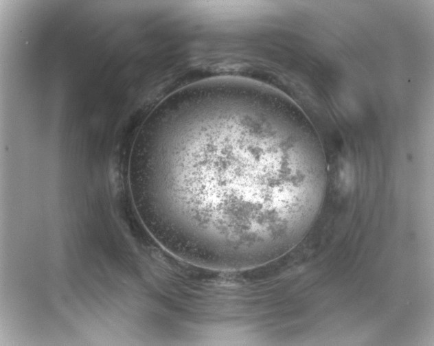 X0000068850743200605051212