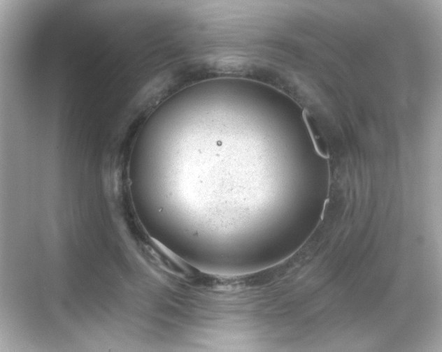 X0000068850744200605051212