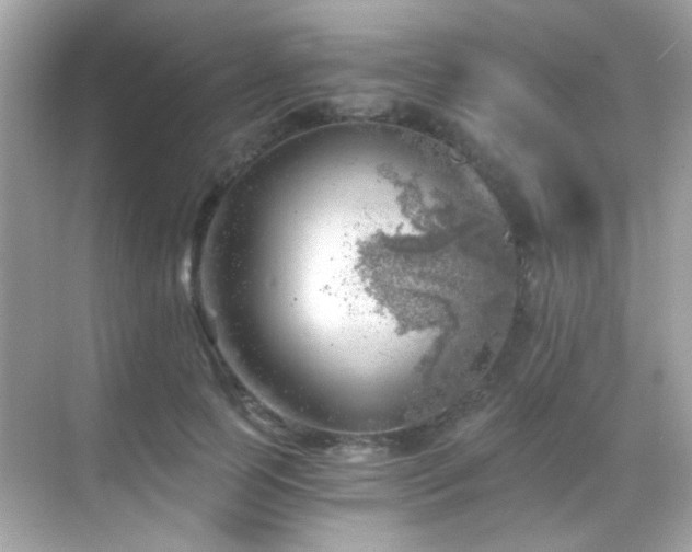 X0000068850745200605051212