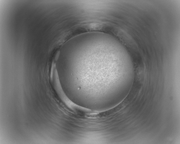 X0000068850746200605051212