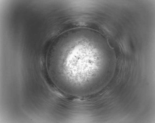 X0000068850747200605051212