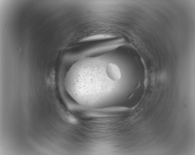 X0000068850750200605051212