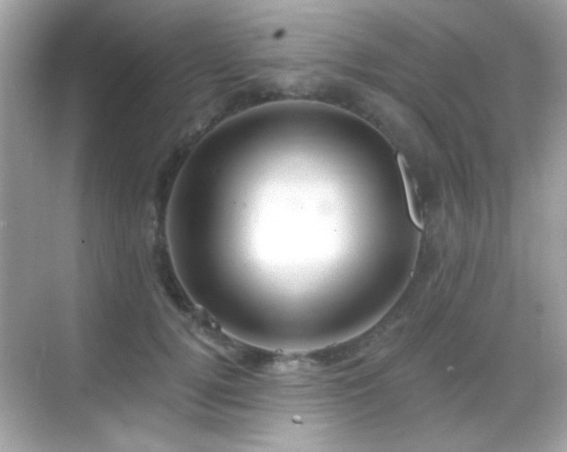 X0000068850752200605051212