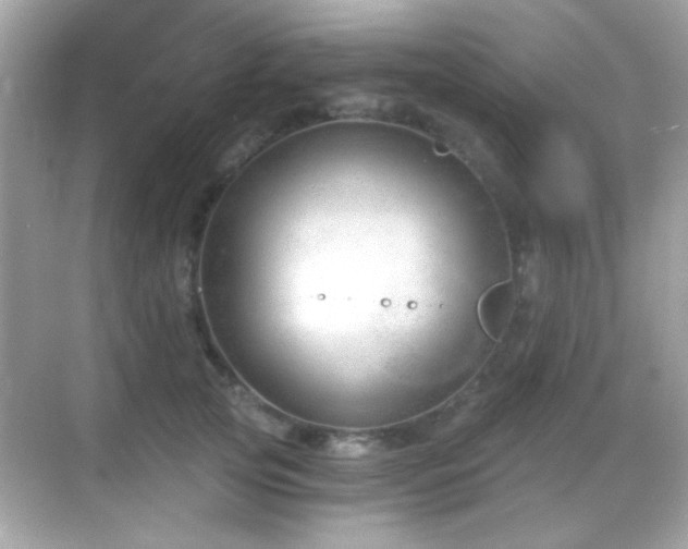 X0000068850753200605051212