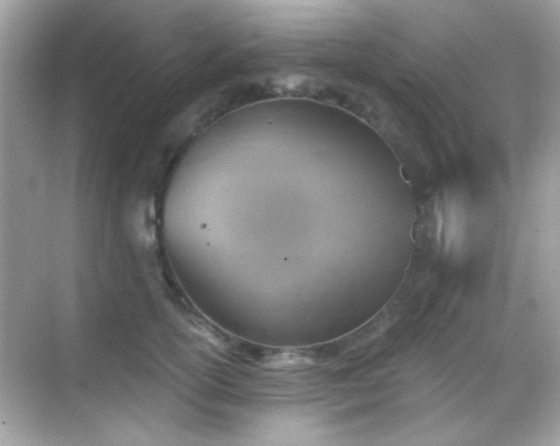 X0000068850754200605051212