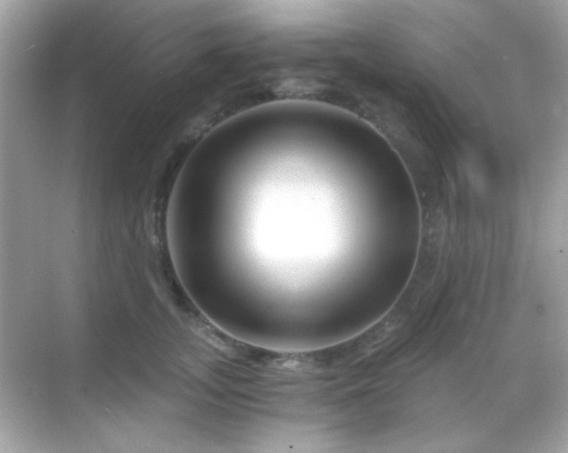 X0000068850755200605051212