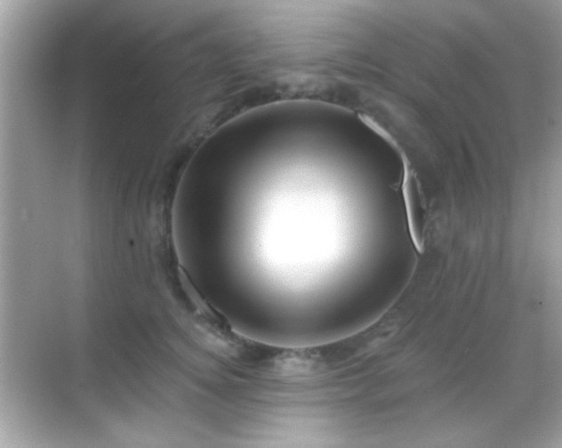 X0000068850756200605051212