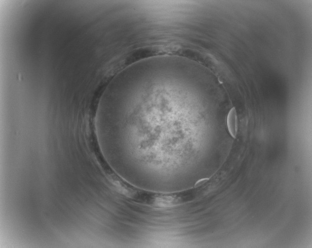 X0000068850757200605051212