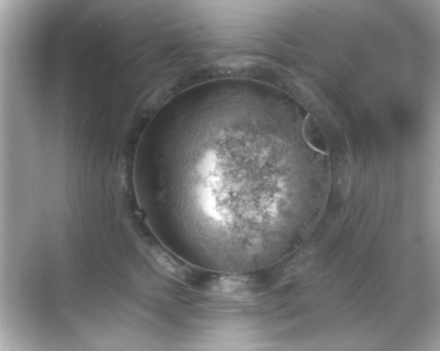 X0000068850758200605051212