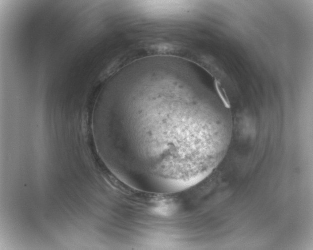 X0000068850760200605051212