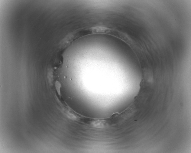 X0000068850761200605051212