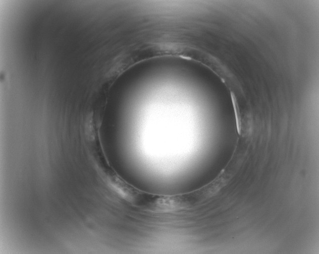 X0000068850764200605051212