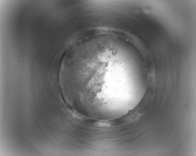 X0000068850765200605051212