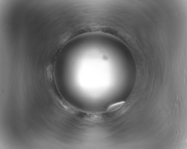 X0000068850768200605051212