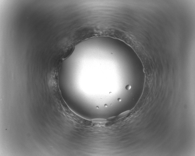 X0000068850770200605051212