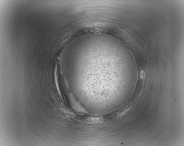 X0000068850771200605051212