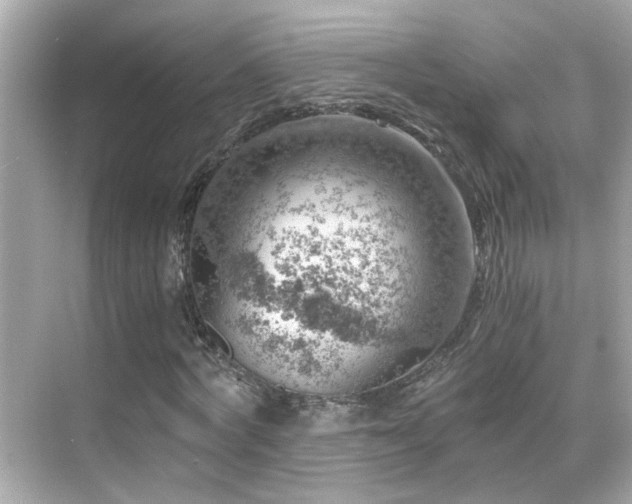 X0000068850772200605051212