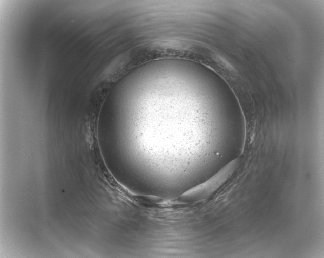 X0000068850774200605051212