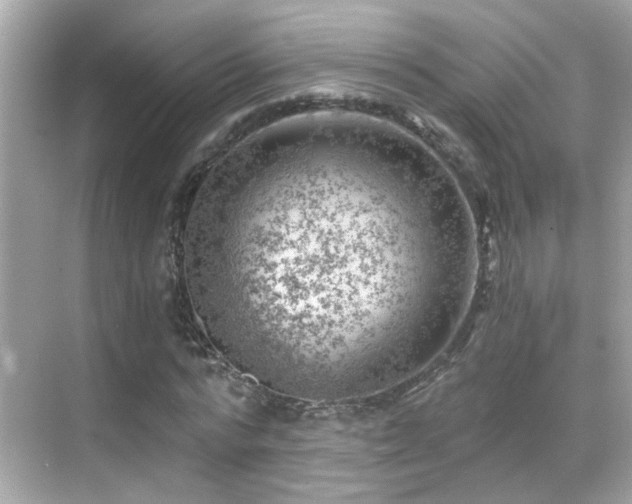 X0000068850776200605051212