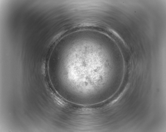 X0000068850777200605051211