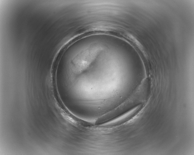 X0000068850779200605051211