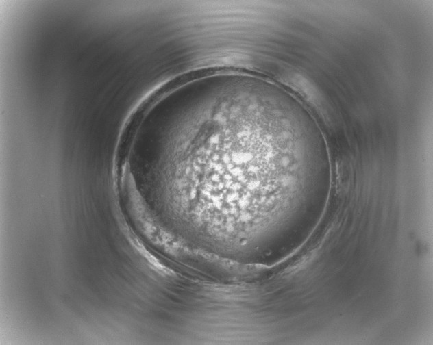 X0000068850780200605051211