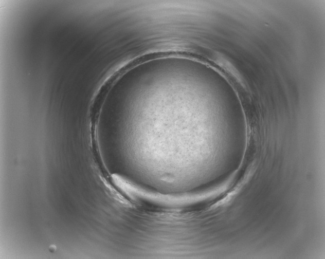 X0000068850781200605051211