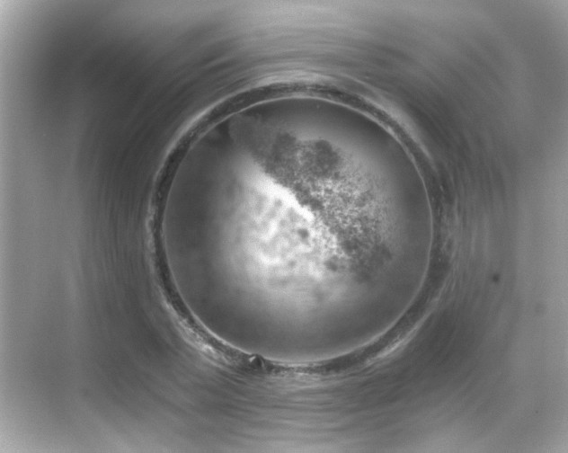 X0000068850783200605051211