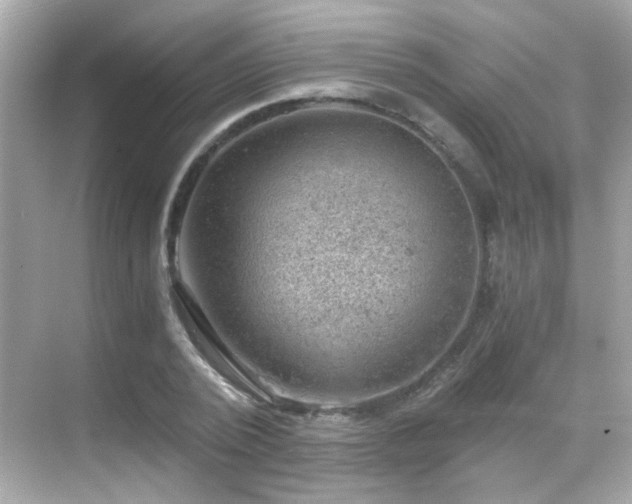 X0000068850784200605051211