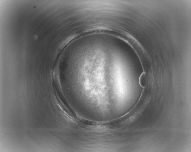 X0000068850785200605051211