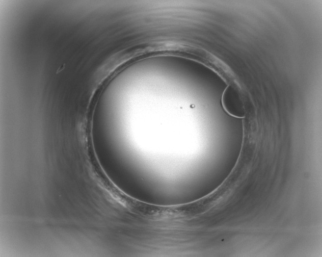 X0000068850786200605051211