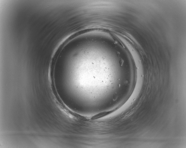 X0000068850788200605051211