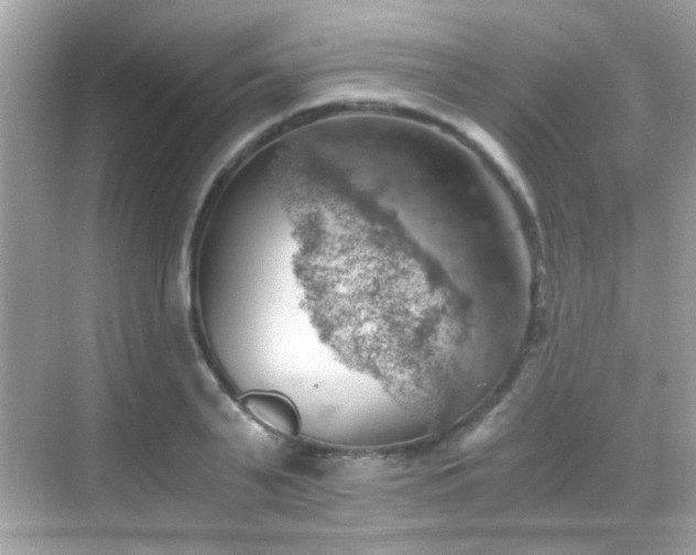 X0000068850791200605051211