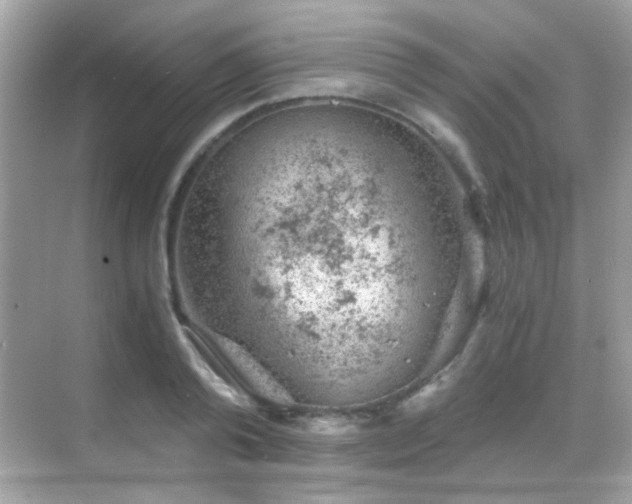 X0000068850792200605051211