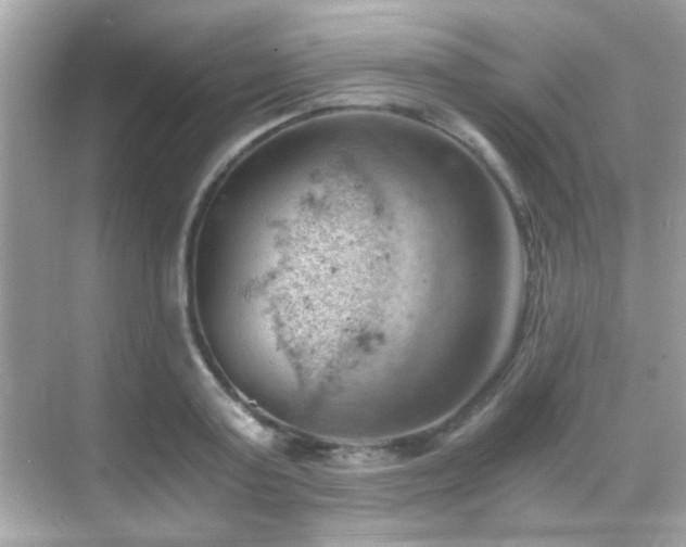 X0000068850795200605051211