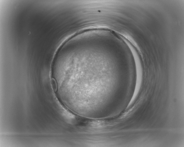 X0000068850797200605051211