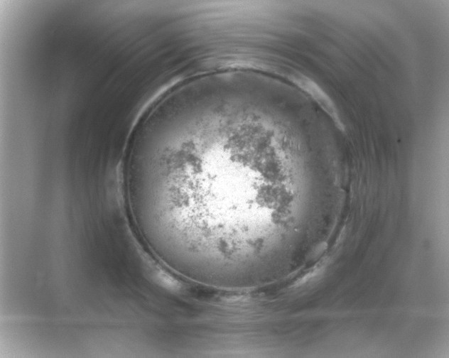 X0000068850798200605051211