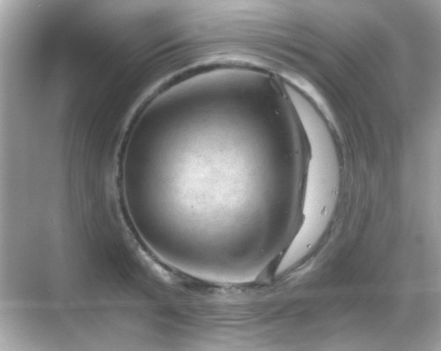 X0000068850799200605051211