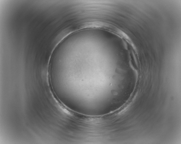 X0000068850802200605051211