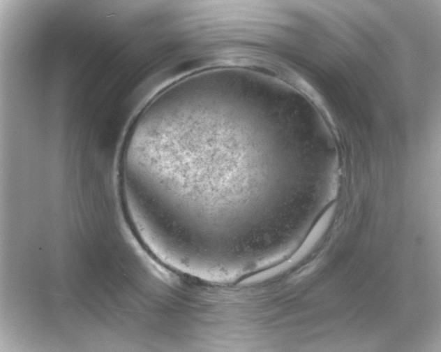 X0000068850803200605051211