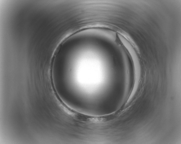 X0000068850805200605051211