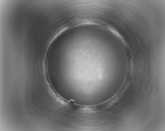 X0000068850806200605051211