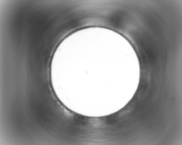 X0000068850807200605051211