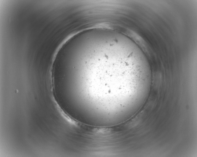 X0000068850808200605051211