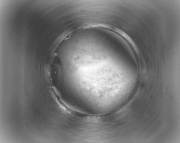 X0000068850809200605051211