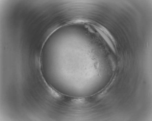 X0000068850810200605051211