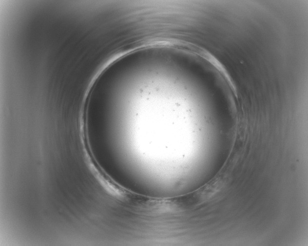 X0000068850811200605051211